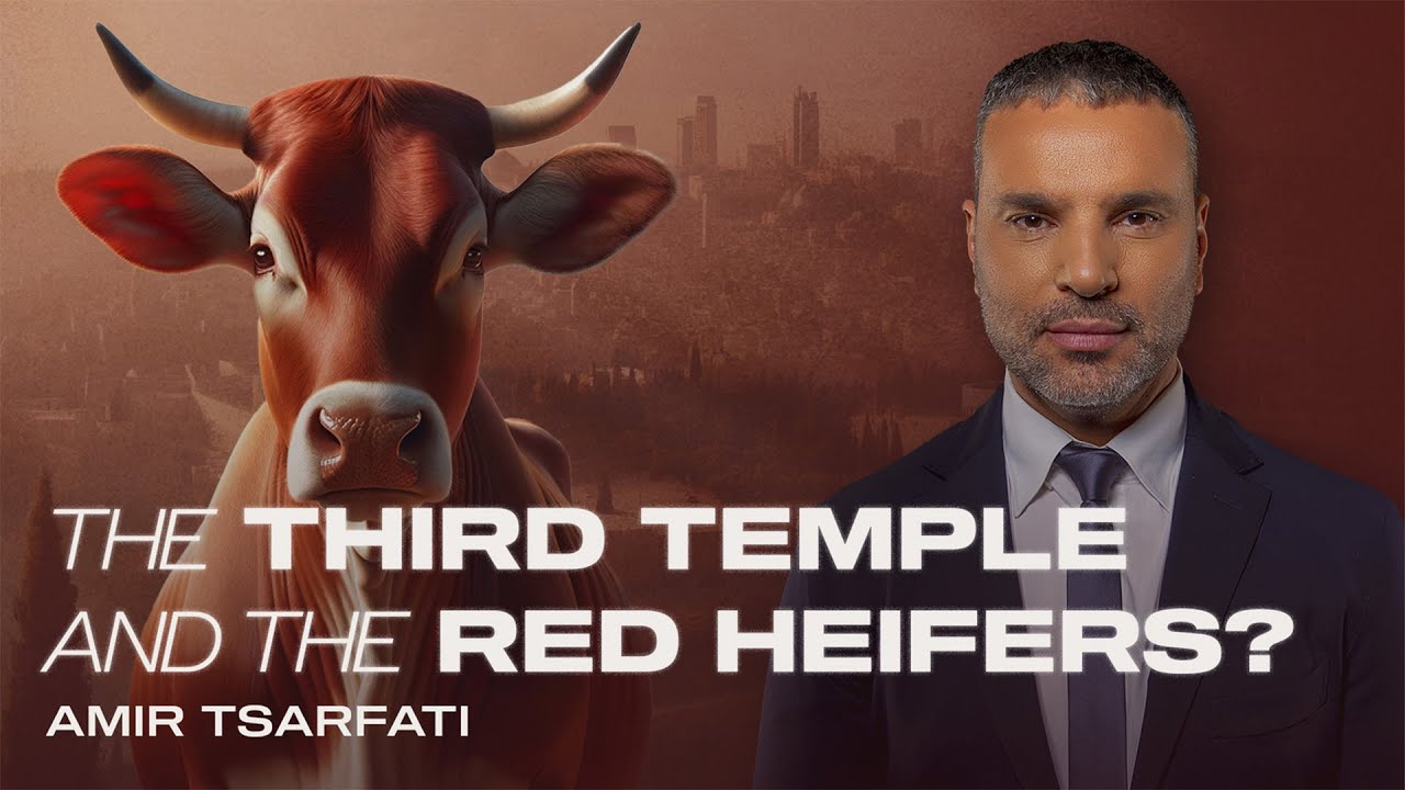 Amir Tsarfati: The Third Temple & Red Heifers?